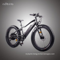 BAFANG rear motor fat tire electric bicycle cheap motorized bicycle,48V550W Hot sale ebike